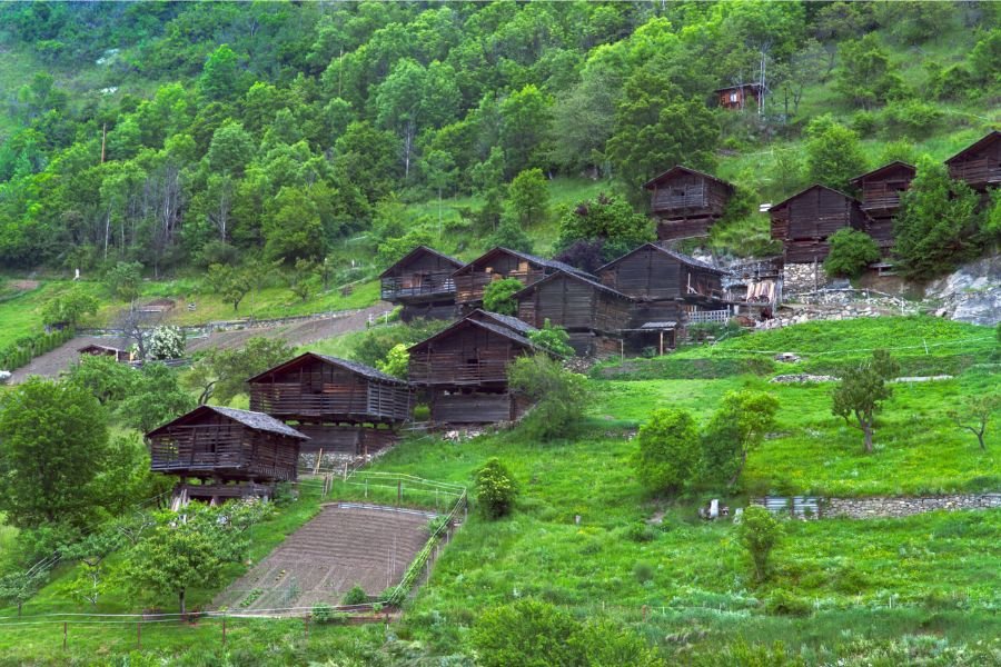 Nomurano